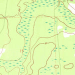 United States Geological Survey Gross, FL-GA (1958, 24000-Scale) digital map