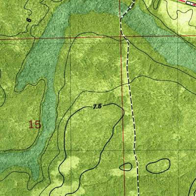 United States Geological Survey Gross, FL-GA (1979, 24000-Scale) digital map