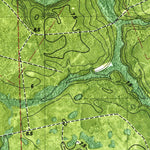 United States Geological Survey Gross, FL-GA (1979, 24000-Scale) digital map