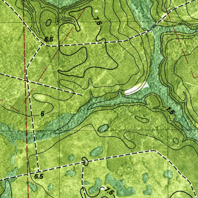 United States Geological Survey Gross, FL-GA (1979, 24000-Scale) digital map