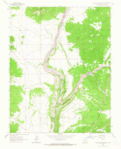 United States Geological Survey Guadalupe Mountain, NM (1963, 24000-Scale) digital map