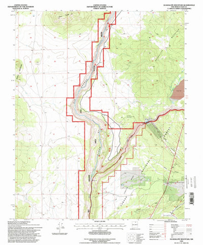 United States Geological Survey Guadalupe, NM (1995, 24000-Scale) digital map