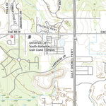 United States Geological Survey Gulf Shores, AL (2021, 24000-Scale) digital map