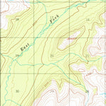 United States Geological Survey Gulkana D-1, AK (1954, 63360-Scale) digital map