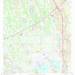 United States Geological Survey Gum Lake, FL (1959, 24000-Scale) digital map