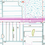United States Geological Survey Gum Slough, FL (1953, 24000-Scale) digital map