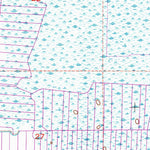 United States Geological Survey Gum Slough, FL (1953, 24000-Scale) digital map
