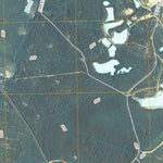 United States Geological Survey Gumm Pond, GA (2011, 24000-Scale) digital map