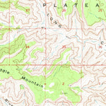 United States Geological Survey Gunnison Butte, UT (1963, 62500-Scale) digital map