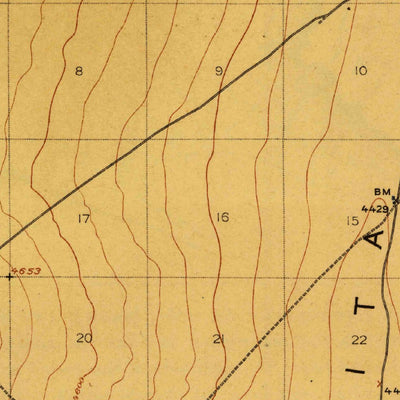 United States Geological Survey Hachita, NM (1918, 62500-Scale) digital map