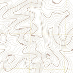 United States Geological Survey Hachita, NM (2023, 24000-Scale) digital map