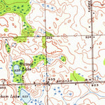 United States Geological Survey Hadley, MI (1945, 24000-Scale) digital map
