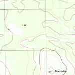 United States Geological Survey Halalii Lake, HI (1989, 24000-Scale) digital map