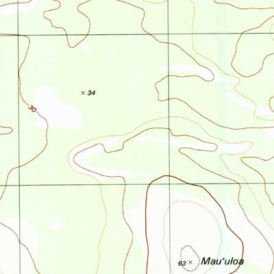 United States Geological Survey Halalii Lake, HI (1989, 24000-Scale) digital map
