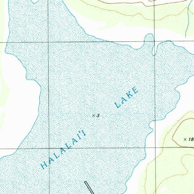 United States Geological Survey Halalii Lake, HI (1989, 24000-Scale) digital map