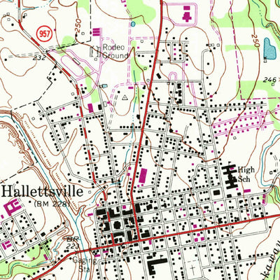 United States Geological Survey Hallettsville, TX (1962, 24000-Scale) digital map