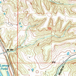 United States Geological Survey Hamburg, IL-MO (1993, 24000-Scale) digital map