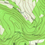 United States Geological Survey Hamden, NY (1982, 24000-Scale) digital map