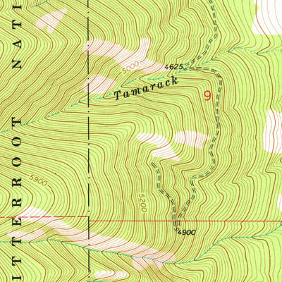 United States Geological Survey Hamilton North, MT (1967, 24000-Scale) digital map