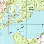 United States Geological Survey Hamlin Lake, MI (1982, 25000-Scale) digital map