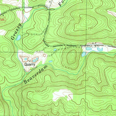 United States Geological Survey Handy, NC (1980, 24000-Scale) digital map