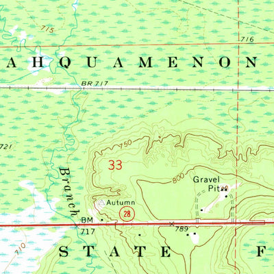 United States Geological Survey Hardwood Island, MI (1972, 24000-Scale) digital map