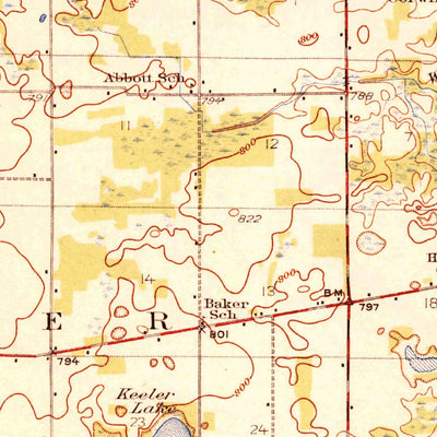 United States Geological Survey Hartford, MI (1931, 62500-Scale) digital map