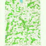 United States Geological Survey Haskinville, NY (1965, 24000-Scale) digital map