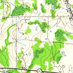 United States Geological Survey Hawthorn, FL (1943, 62500-Scale) digital map