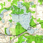 United States Geological Survey Hawthorn, FL (1943, 62500-Scale) digital map