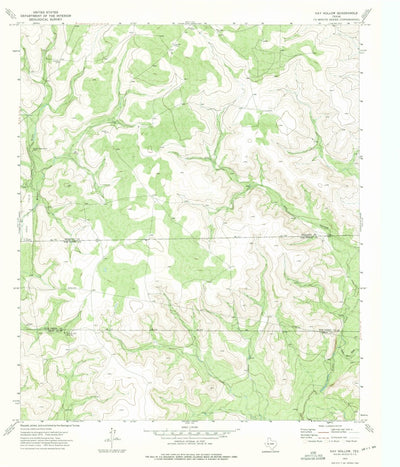 United States Geological Survey Hay Hollow, TX (1973, 24000-Scale) digital map