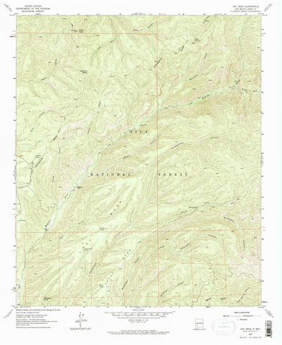 United States Geological Survey Hay Mesa, NM (1963, 24000-Scale) digital map