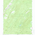 United States Geological Survey Healing Springs, VA (1966, 24000-Scale) digital map