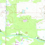 United States Geological Survey Hempwallace, AR (1966, 24000-Scale) digital map
