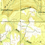 United States Geological Survey Henagar, AL (1950, 24000-Scale) digital map