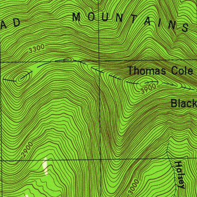 United States Geological Survey Hensonville, NY (1946, 24000-Scale) digital map