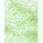 United States Geological Survey Hensonville, NY (1980, 24000-Scale) digital map