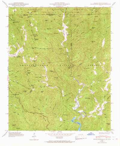United States Geological Survey Hightower Bald, GA-NC (1946, 24000-Scale) digital map