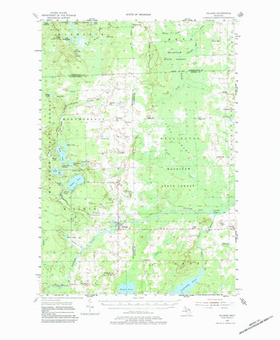 United States Geological Survey Hillman, MI (1955, 62500-Scale) digital map