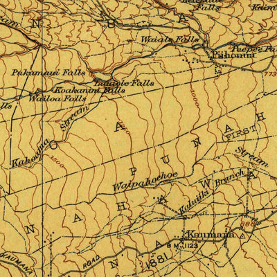 United States Geological Survey Hilo, HI (1917, 62500-Scale) digital map