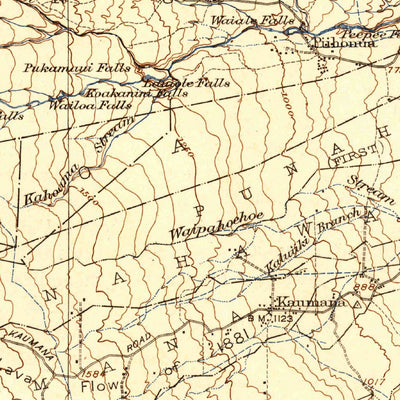 United States Geological Survey Hilo, HI (1932, 62500-Scale) digital map