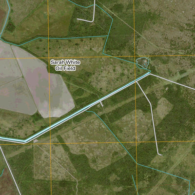 United States Geological Survey Hitchcock, TX (2010, 24000-Scale) digital map