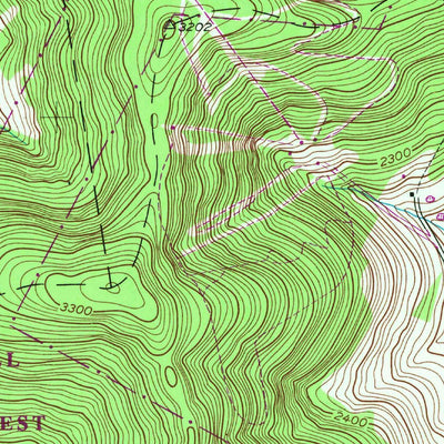 United States Geological Survey Hobart, NY (1945, 24000-Scale) digital map