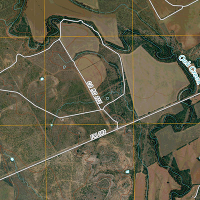United States Geological Survey Hog Mountain, TX (2010, 24000-Scale) digital map
