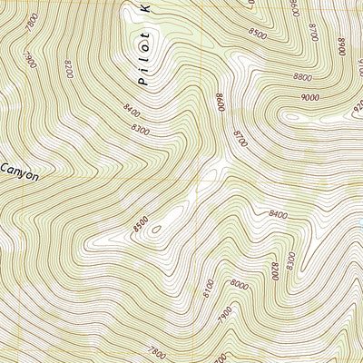 United States Geological Survey Hogum, NV (2021, 24000-Scale) digital map