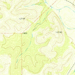 United States Geological Survey Holcomb Draw, TX (1978, 24000-Scale) digital map