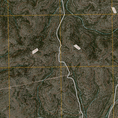 United States Geological Survey Holcomb Draw, TX (2010, 24000-Scale) digital map