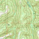 United States Geological Survey Hollister, MO (1989, 24000-Scale) digital map