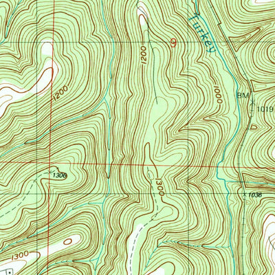 United States Geological Survey Hollister, MO (1989, 24000-Scale) digital map