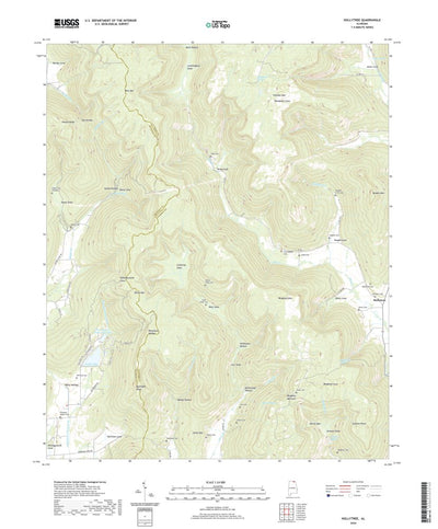 United States Geological Survey Hollytree, AL (2020, 24000-Scale) digital map